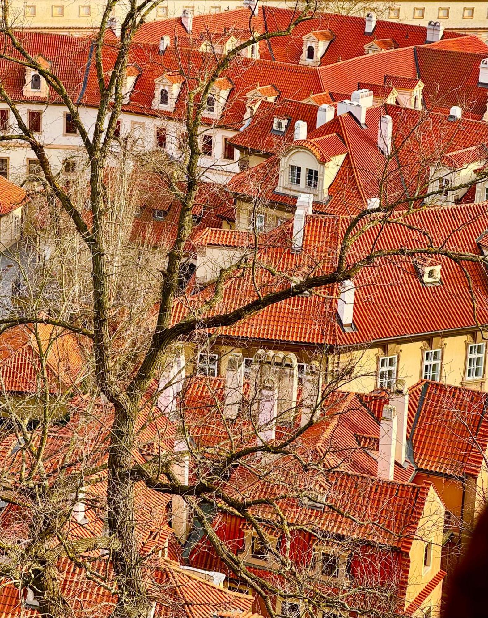 Nerudova 36 Apartmán Praha